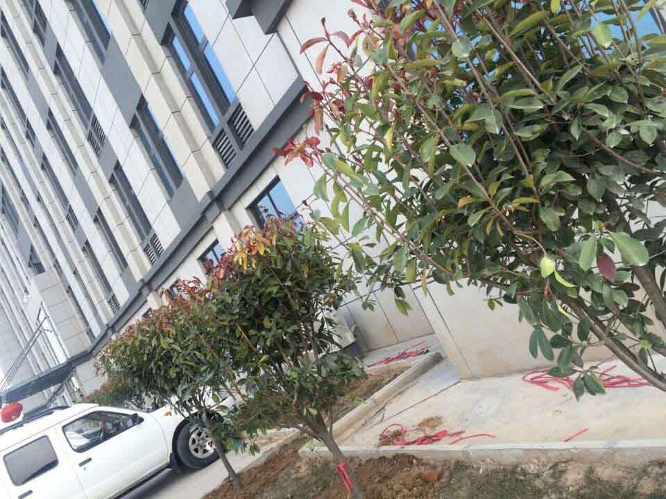 河南杏彩·电子（中国）官方网站总代理