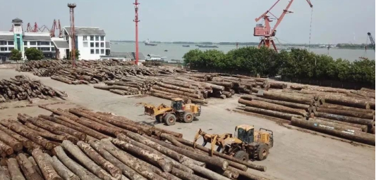 杏彩·电子(中国)官方网站林业型装载机用事实说话 杏彩·电子(中国)官方网站林业型装载机用事实说话